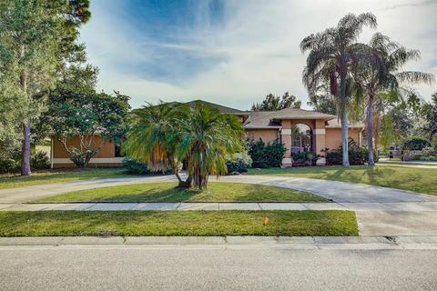 115 Deerpath Dr, Oldsmar, FL 34677 photo 1