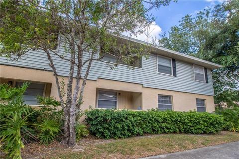 230 Thorn Tree Pl, Brandon, FL 33510 photo 1