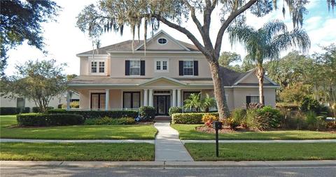 16019 Ternglade Dr, Lithia, FL 33547 photo 1