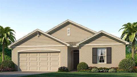 16620 Southern Oaks Trl, Parrish, FL 34219 photo 1