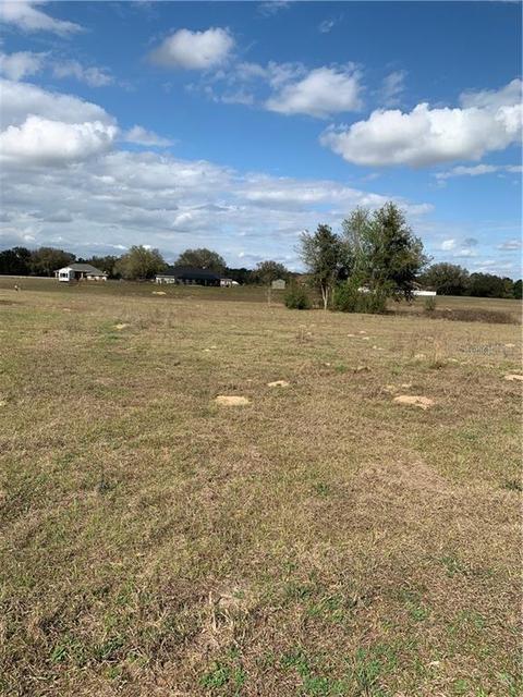343 E Dusty Ct, Hernando, FL 34442 photo 1