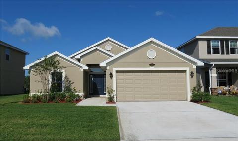 14520 Haddon Mist Dr, Wimauma, FL 33598 photo 1