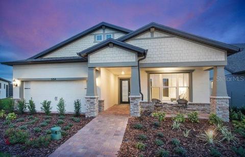 10316 Malvasia Ave, Riverview, FL 33578 photo 1