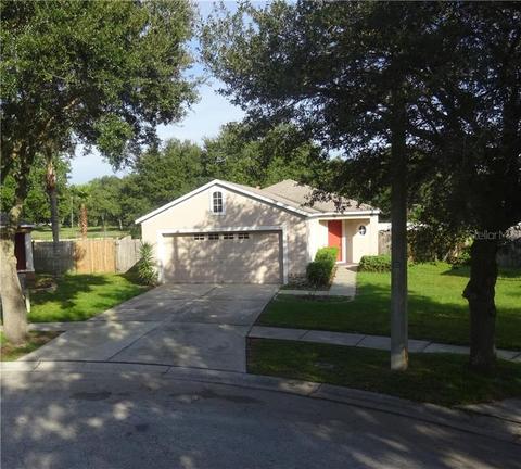 411 Pine Pointe Ct, Seffner, FL 33584 photo 1