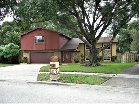 209 Ball Park Ave, Seffner, FL 33584 photo 1