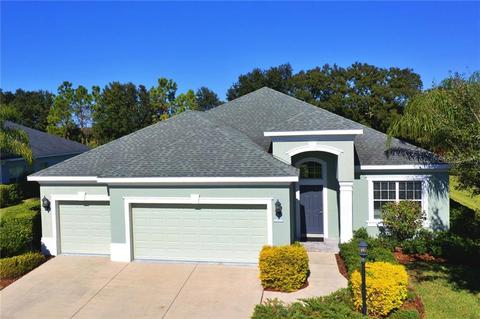 16318 Rivers Reach Blvd, Parrish, FL 34219 photo 1
