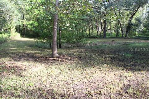 11813 SW 37th Dr, Webster, FL 33597 photo 1
