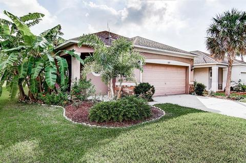 8219 Midnight Sun Ct, Riverview, FL 33578 photo 1