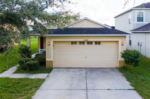 12618 Evington Point Dr, Riverview, FL 33579 photo 1