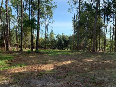 6907 Peyton Dr, Seffner, FL 33584 photo 1