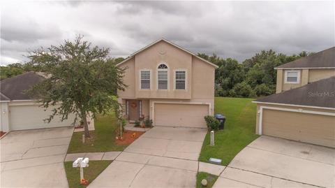 13631 Silver Charm Ct, Riverview, FL 33579 photo 1