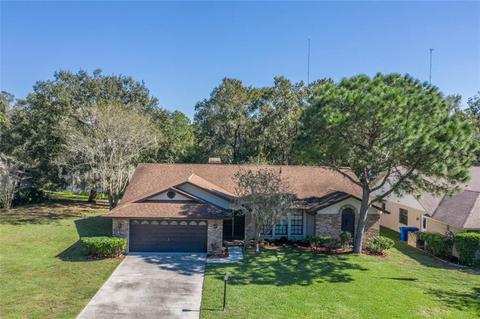 10124 Sedgebrook Dr, Riverview, FL 33569 photo 1