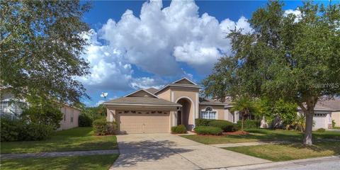 8802 Sandy Plains Dr, Riverview, FL 33578 photo 1