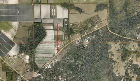 4770 Saffold Rd, Wimauma, FL 33598 photo 1
