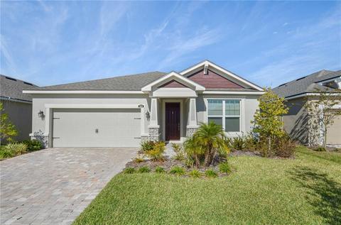 11624 Blue Woods Dr, Riverview, FL 33569 photo 1