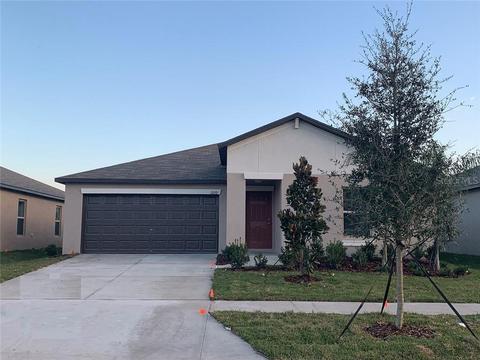 13232 Wildflower Meadow Dr, Riverview, FL 33579 photo 1