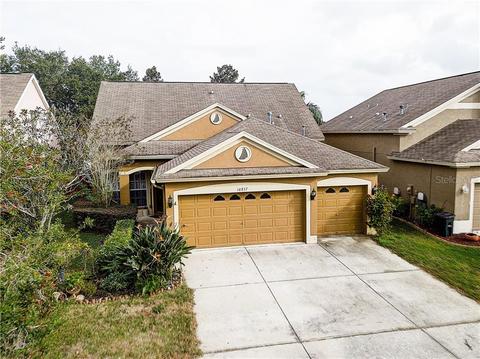 10857 Newbridge Dr, Riverview, FL 33579 photo 1