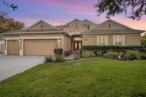 12533 River Birch Dr, Riverview, FL 33569 photo 1