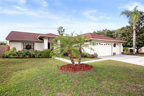 10301 Sedgebrook Pl, Riverview, FL 33569 photo 1
