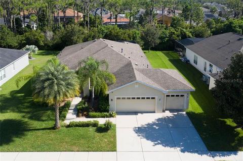 11740 Newberry Grove Loop, Riverview, FL 33579 photo 1