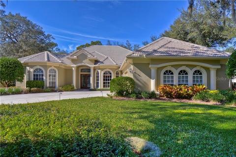 5605 Eagleglen Pl, Lithia, FL 33547 photo 1