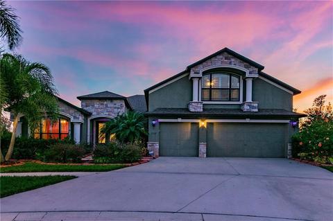 5322 Moon Shell Dr, Apollo Beach, FL 33572 photo 1