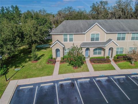 15938 Fishhawk View Dr, Lithia, FL 33547 photo 1