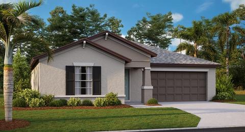 13007 Minty Chapel Ct, Riverview, FL 33579 photo 1