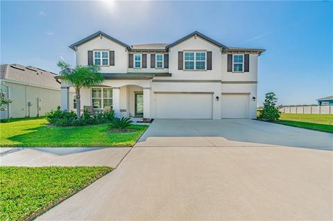 11626 Tetrafin Dr, Riverview, FL 33579 photo 1