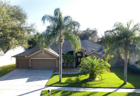 12113 Shady Forest Dr, Riverview, FL 33569 photo 1