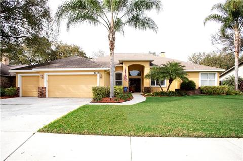 2260 Eagle Bluff Dr, Valrico, FL 33596 photo 1