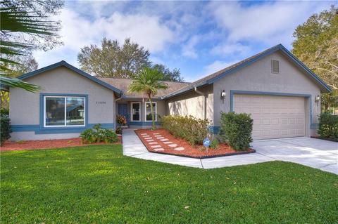 11604 Wellman Dr, Riverview, FL 33578 photo 1