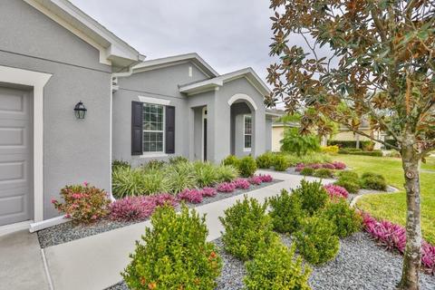 11738 Newberry Grove Loop, Riverview, FL 33579 photo 1