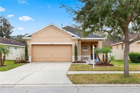 10237 Avelar Ridge Dr, Riverview, FL 33578 photo 1