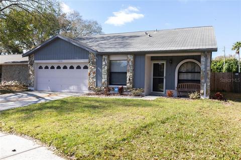 11310 Silverleaf Ct, Riverview, FL 33579 photo 1