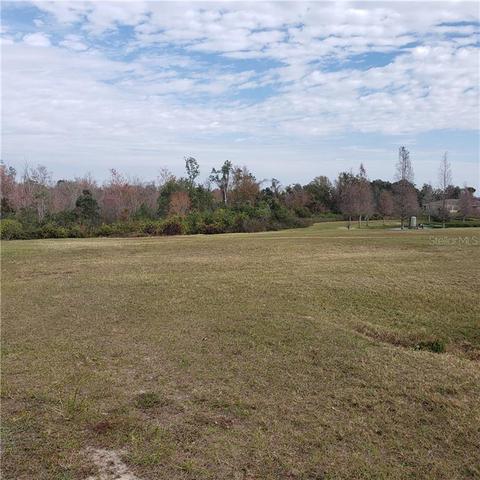 6025 Rolling Vista Loop, Dover, FL 33527 photo 1
