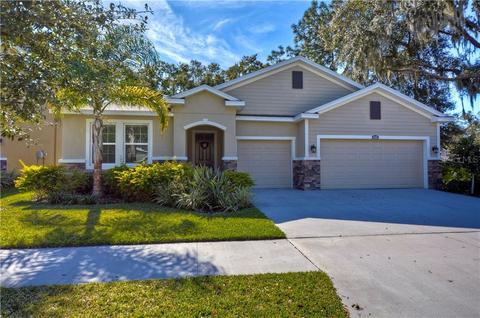10403 Pleasant Spring Way, Riverview, FL 33578 photo 1