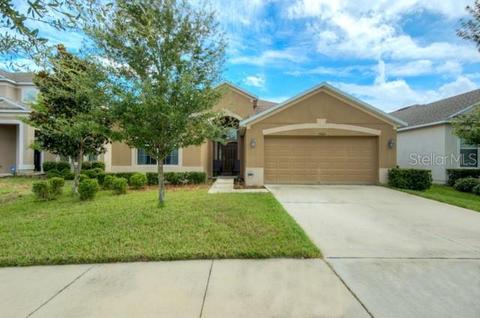 7004 Blue Beech Dr, Riverview, FL 33578 photo 1