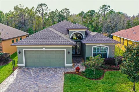 1107 Ketzal Dr, Trinity, FL 34655 photo 1