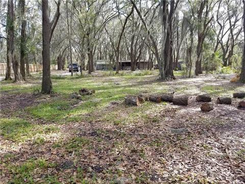 3807 Tanner Rd, Dover, FL 33527 photo 1