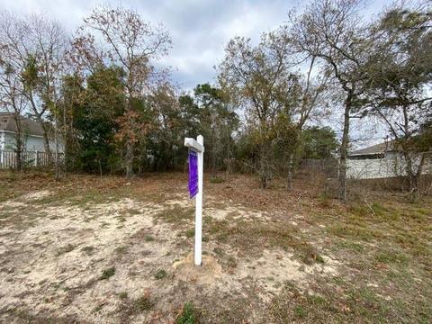 12143 Elgin Blvd, Spring Hill, FL 34608 photo 1