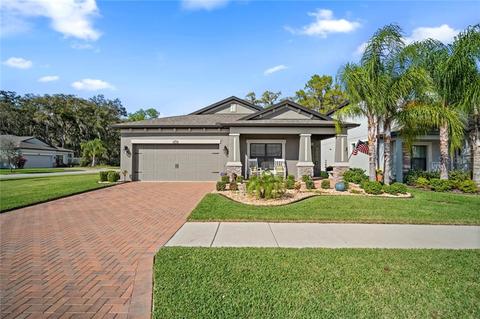 10404 Arbor Groves Pl, Riverview, FL 33578 photo 1