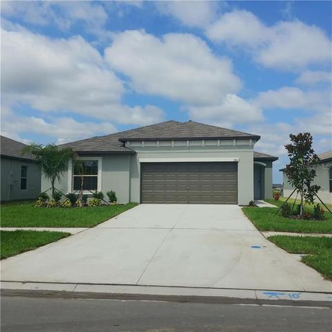 13611 Willow Bluestar Loop, Riverview, FL 33579 photo 1