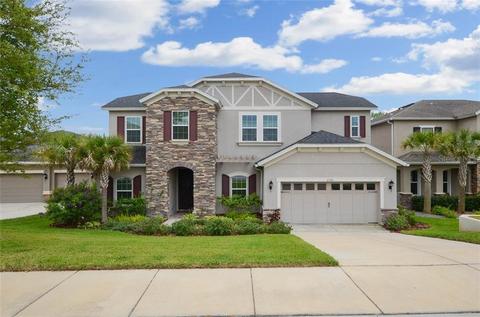 6720 Riverside Bluffs Dr, Riverview, FL 33578 photo 1