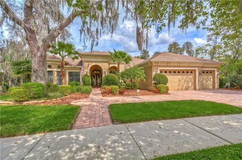 16116 Ternglade Dr, Lithia, FL 33547 photo 1