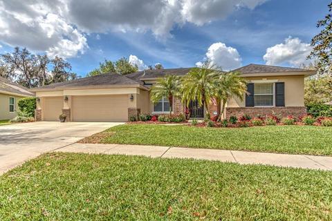 6131 Ibispark Dr, Lithia, FL 33547 photo 1