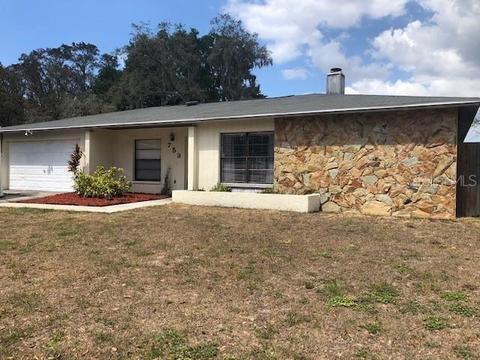 753 Isleton Dr, Brandon, FL 33511 photo 1