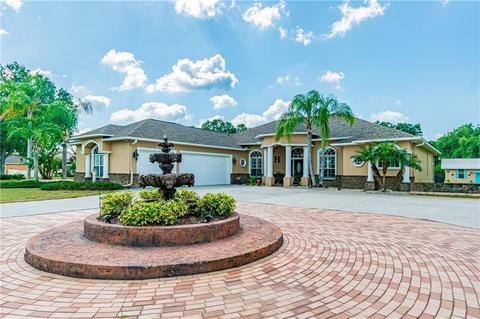 13249 Emerald Acres Ave, Dover, FL 33527 photo 1