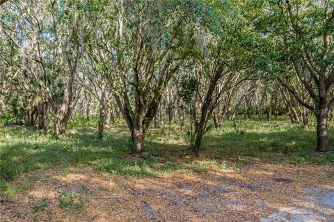 2232 Thompson Rd, Lithia, FL 33547 photo 1