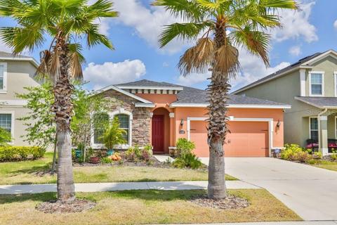 11157 Spring Point Cir, Riverview, FL 33579 photo 1